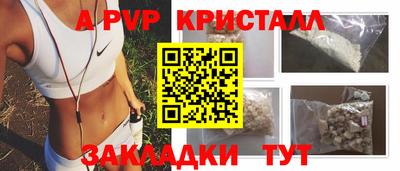 шишки Кандалакша