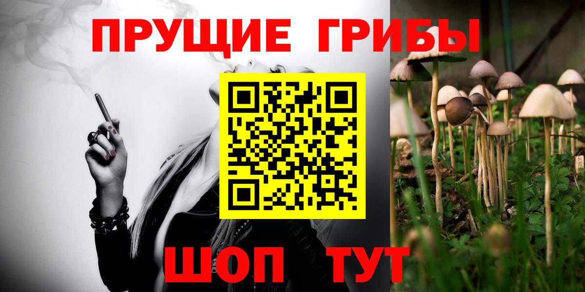 Псилоцибиновые грибы Cubensis Видное