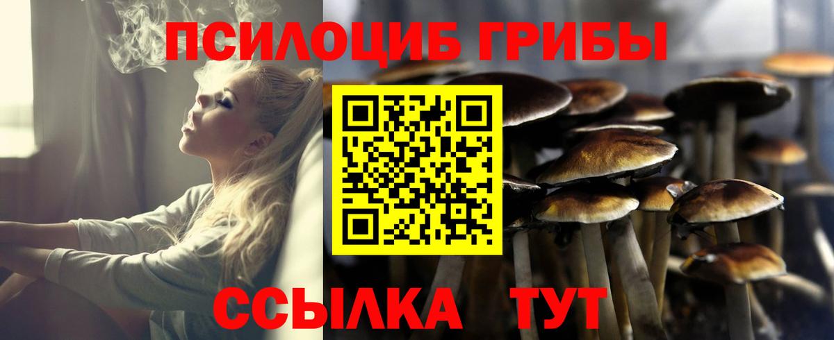 Видное  Псилоцибиновые грибы ЛСД  Вход с VPN 